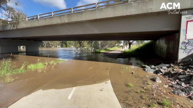 Murrumbidgee River at Wagga’s Wiradjuri Bridge | November 2, 2022 | The Daily Advertiser