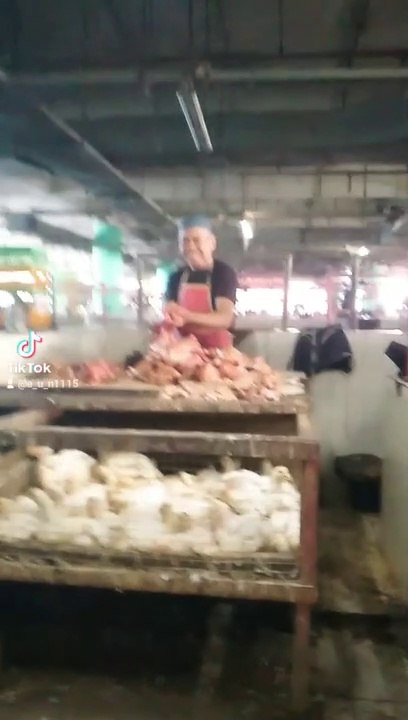 pesanan ayam