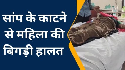 भीलवाडा : खेत पर कार्य कर रही महिला को सांप ने काटा, अस्पताल में भर्ती