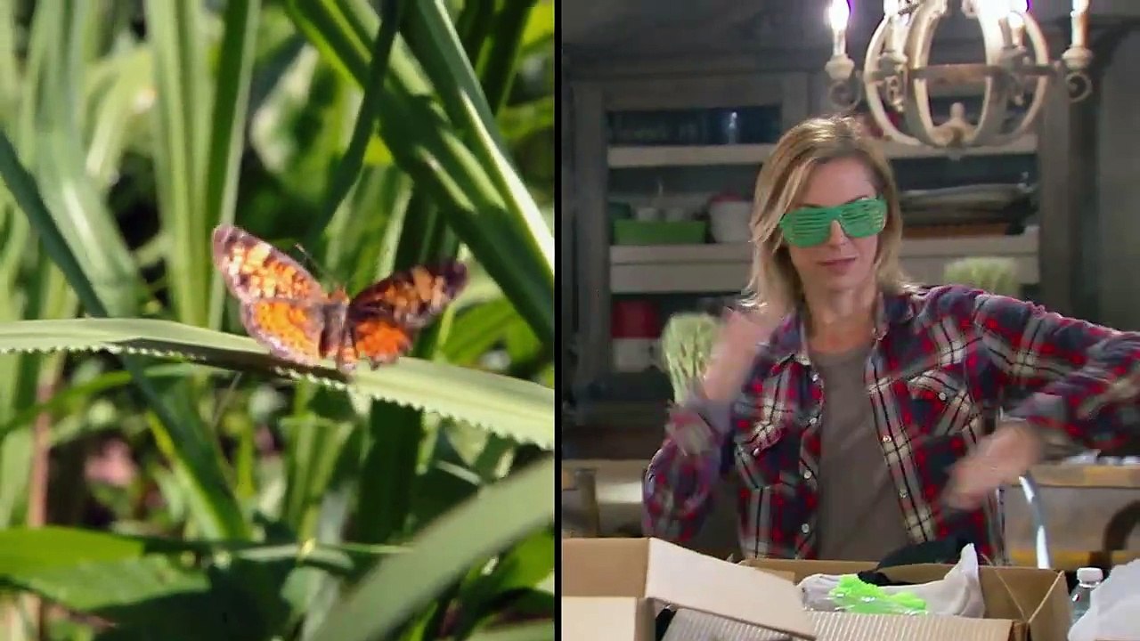 Jep $$ Jessica - Growing the Dynasty - Se1 - Ep05 HD Watch HD Deutsch