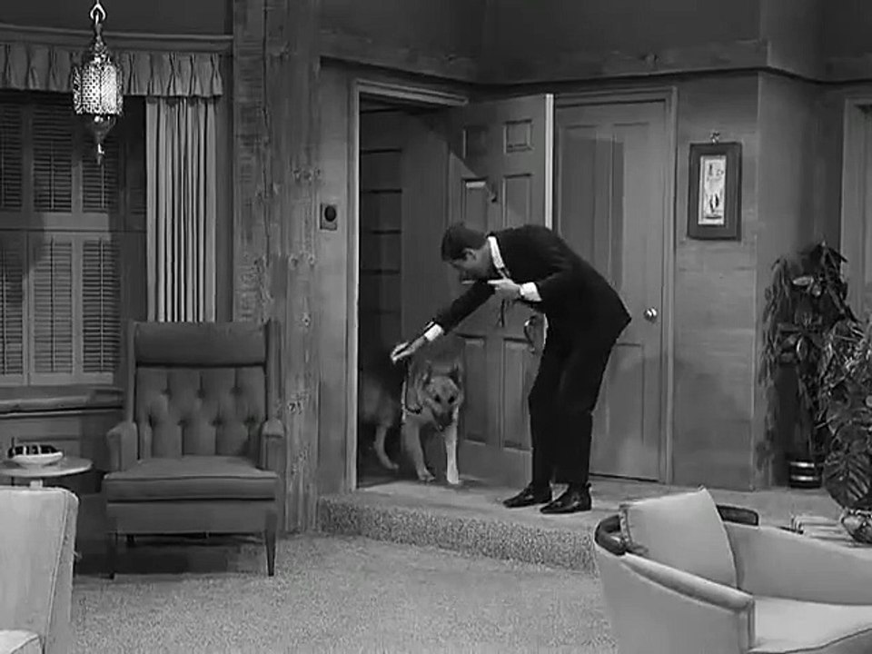 The Dick Van Dyke Show - Se1 - Ep09 HD Watch HD Deutsch