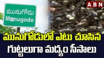 మునుగోడులో ఎటు చూసిన గుట్టలుగా మద్యం సీసాలు | Munugode By Poll || ABN Telugu