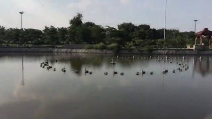 The Greater Iqbal Park lake amaze of views of beauty