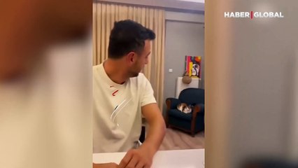Sahibinin ona adıyla seslendiği anlarda, mutluluktan yuvarlanan kedi