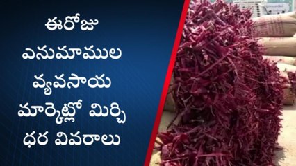 వరంగల్ ఈస్ట్: మార్కెట్లో దేశీయ మిర్చికి రికార్డు ధర