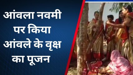 बड़वानी : आंवला नवमी पर शिक्षिकाओं ने किया पूजन, छात्रों को दी भारतीय संस्कृति की सीख