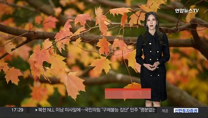 [날씨] 새벽부터 내륙 안개…내일 낮부터 기온 '뚝'