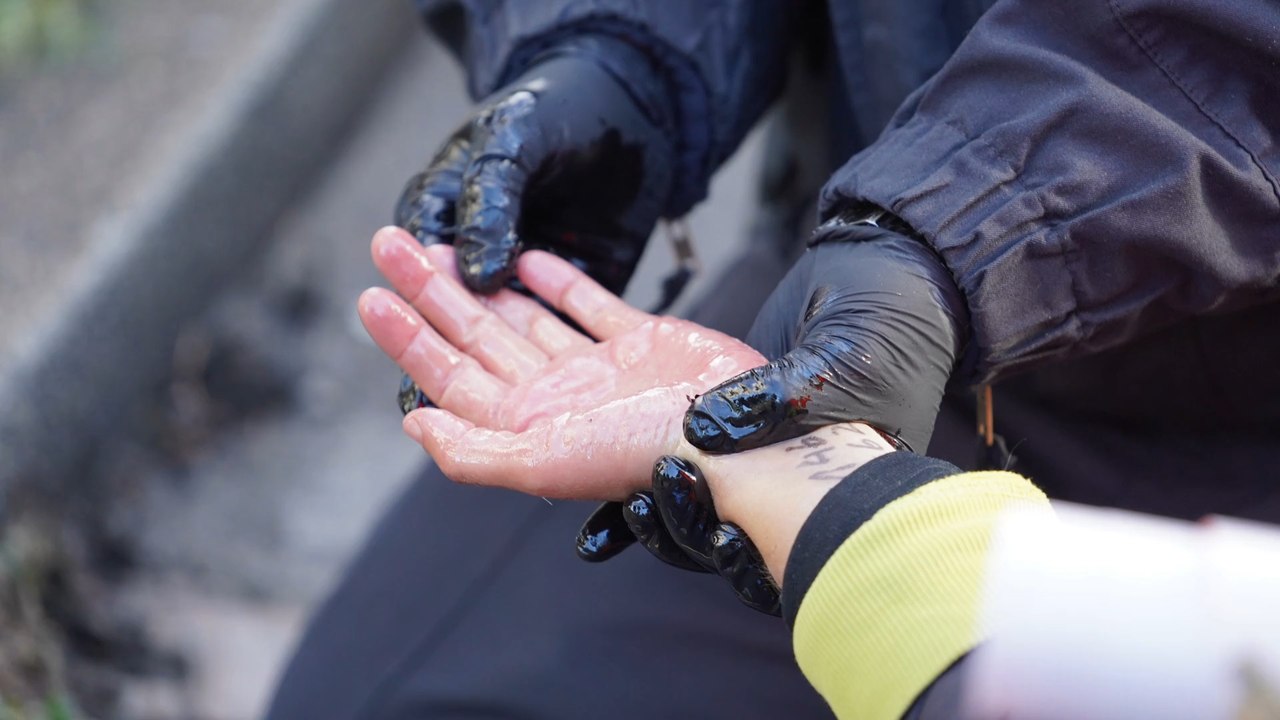 Politiker fordern gefängnis für klima-kleber