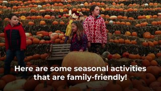 Fun Activities For The Whole Family To Do in Fall
