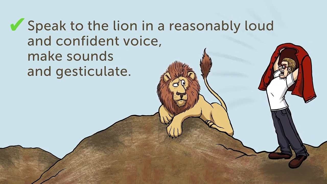 13 Tips on How to Survive Wild Animal Attacks