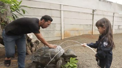 Walaupun Takut, Mazaya Tetep Mau Mandiin Kura-Kura Jumbo!