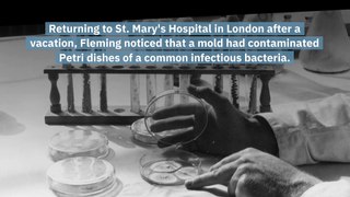 History: The Day Penicillin is Discovered