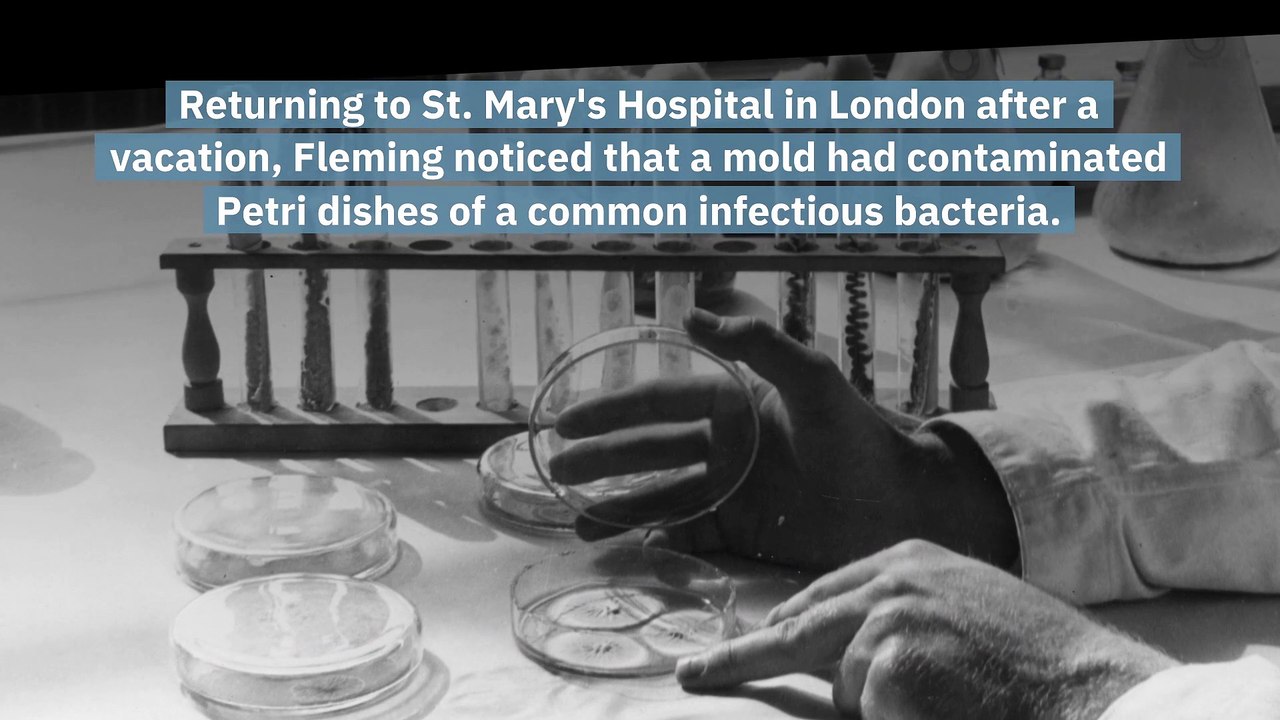 History: The Day Penicillin is Discovered