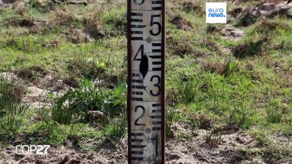A última lagoa de água doce de Doñana secou