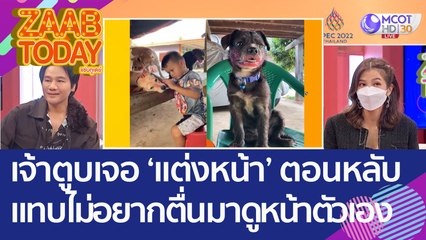 เอาที่สบายใจ! เจ้าตูบเจอหนูน้อย 'แต่งหน้า' ให้ตอนหลับ แทบไม่อยากตื่นมาดูหน้าตัวเอง (2 พ.ย. 65) แซ่บทูเดย์