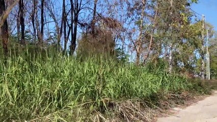 Degrado Vibo, strada PalaMaiata