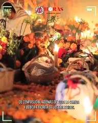 24 Horas ¿Cómo son las ofrendas de Día De Muertos dónde vives?