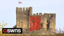 Cascade of poppies is unveiled at Dudley Castle as moving Remembrance tribute to fallen soldiers