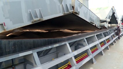 Россия вновь открывает зерновой коридор по Чёрному морю, получив гарантии от Украины