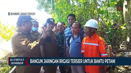 Video herunterladen: Bupati Hendy Permudah Akses Petani Jember dengan JIT dan JUT