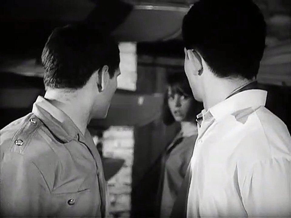 Harras der Polizeihund: Die Party