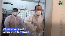 Chinese vets visit ailing panda at Taipei Zoo
