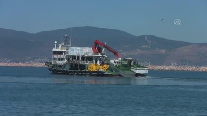 BALIKESİR - Ekim ayında Bandırma Balık Hali'ne 190 bin 418 çift palamut getirildi