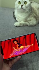 Aladdin Cat Cosplay by Sonya kisa TT