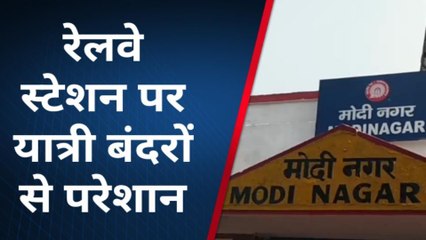 गाजियाबाद: बंदरों का आंतक जारी, रेलवे स्टेशन पर बंदर यात्रियों को कर रहे घायल