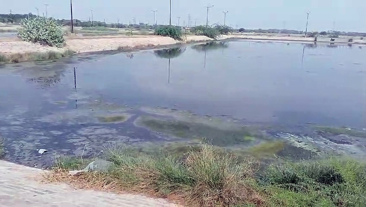 अब सौर ऊर्जा से संचालित होगा एसटीपी