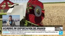 Informe desde Estambul: Rusia reanuda su participación en el acuerdo de exportación de granos