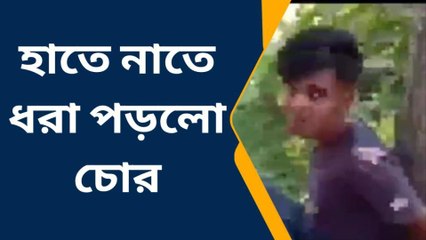 বাসন্তী: হাতে নাতে ধরা পড়ল চোর, যুবককে গাছে বেঁধে রাখল গ্রামবাসী