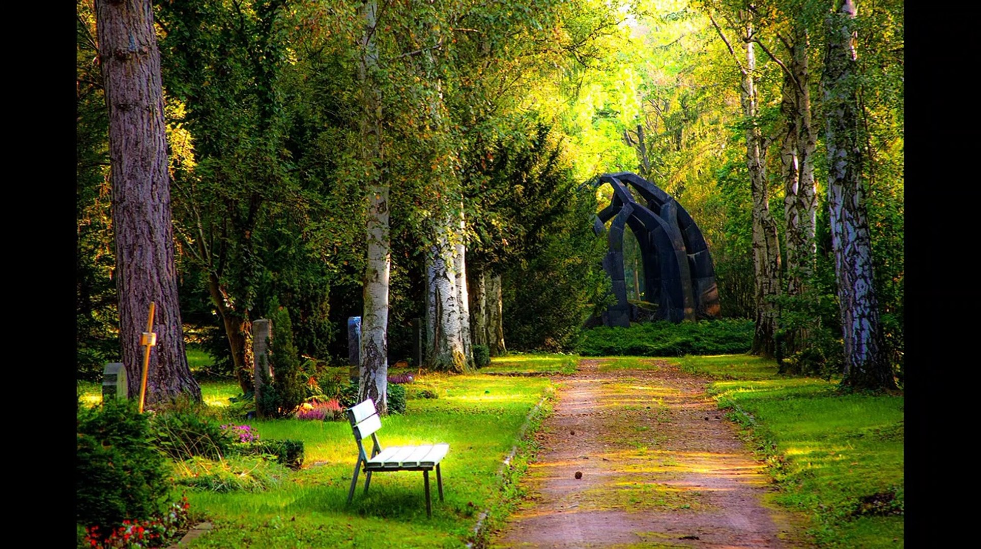 5 Minutes Nature music।। silent music।। relaxing music।। sleep music।। study music