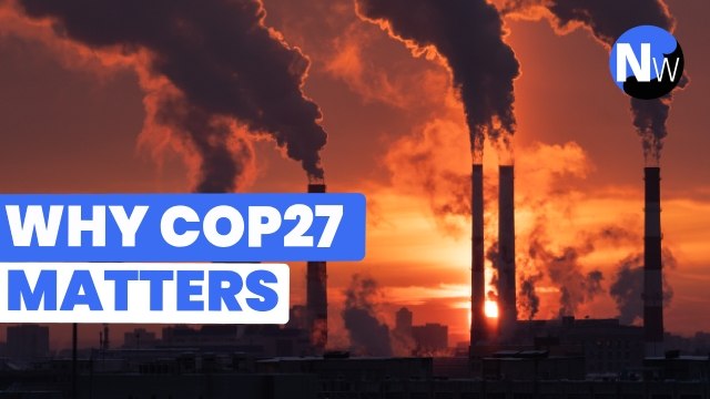 COP 27: What does it stand for and the importance of climate change summit in Egypt