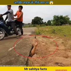 सड़क के नीचे से मिले  साँप #shorts #youtubeshorts