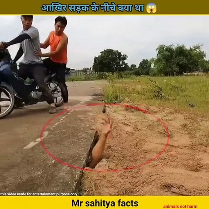 सड़क के नीचे से मिले  साँप #shorts #youtubeshorts