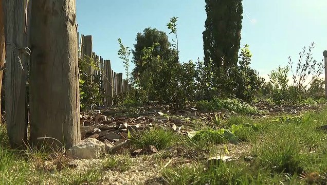 En Charente-Maritime, retour à la nature au cimetière d'Aytré