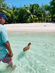 Caribbean Chicken 'Fingers' Goes for a Swim