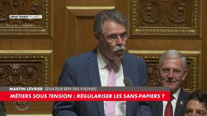 Martin Lévrier : «Pourriez-vous préciser les contours de votre projet de créer un titre de séjour "métiers en tension" ?»