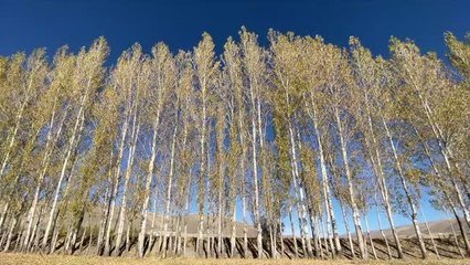 Erzurum kırsalındaki mahallerde sonbahar renkleri hakim oldu