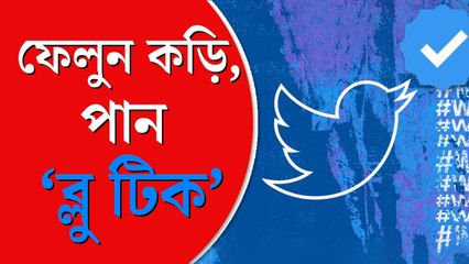 এ বার থেকে ‘ব্লু টিক’ কিনতে হবে টুইটারে, ঘোষণা সংস্থার নয়া মালিক ইলন মাস্কের