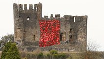 Cascade of poppies unveiled at Dudley Castle in Remembrance Day tribute