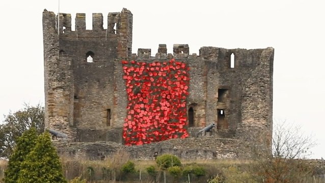 Cascade of poppies unveiled at Dudley Castle in Remembrance Day tribute