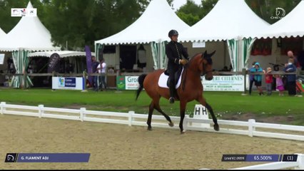 Master Pro FFE - Dressage | Vierzon (FRA) | Gildas FLAMENT ADJ | CHARMEUR*IFCE