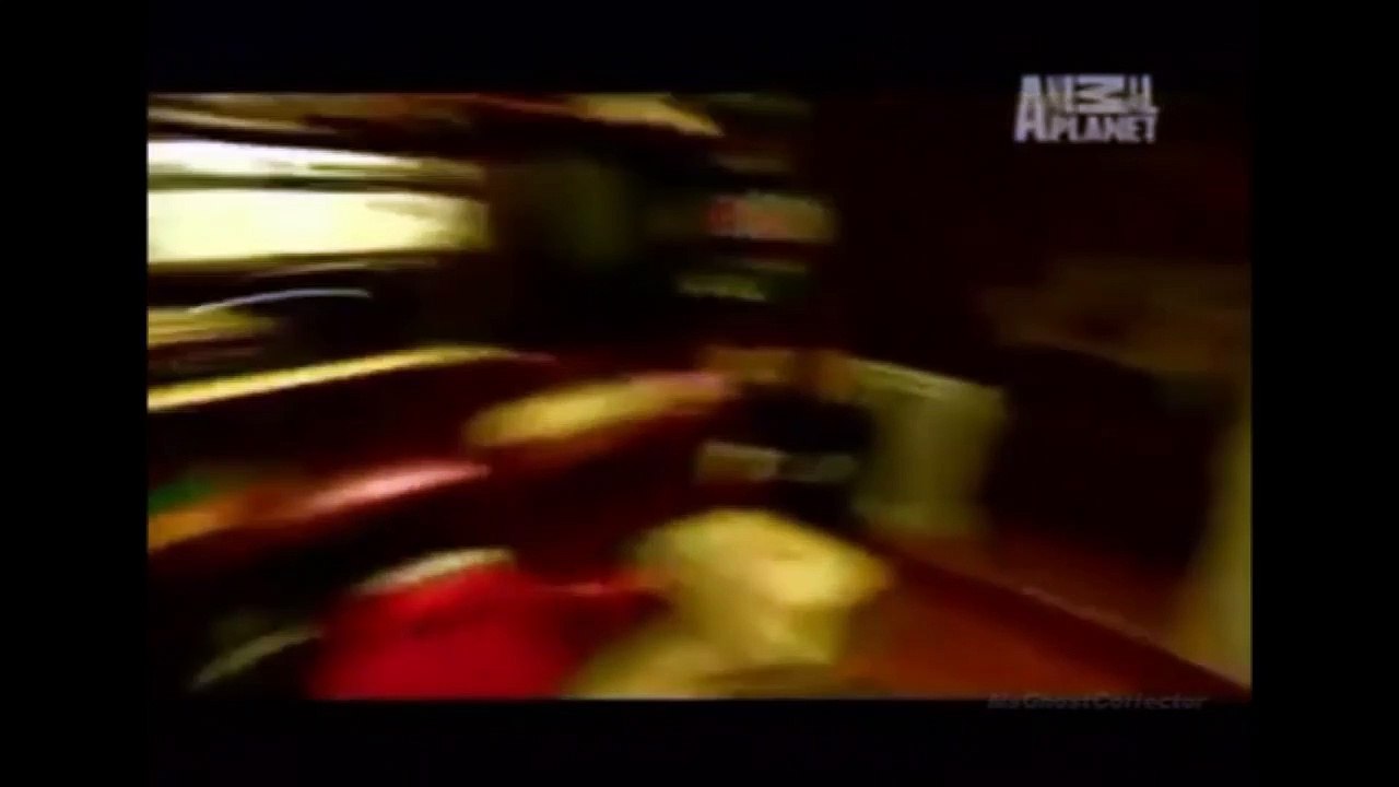 Instinto Paranormal - A Casa Demoníaca