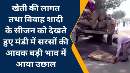 डीग: शादियों और भाव बढ़ने से मण्‍डी में पहुंच रहे किसान, जानें क्‍या है मण्‍डी भाव