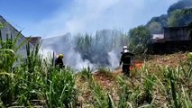 Equipes do Corpo de Bombeiros são acionadas para combaterem incêndio que se aproximava de residências