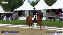 Master Pro FFE - Dressage | Vierzon (FRA) | Thierry TARRAL | ABUNDUS G.I.H.