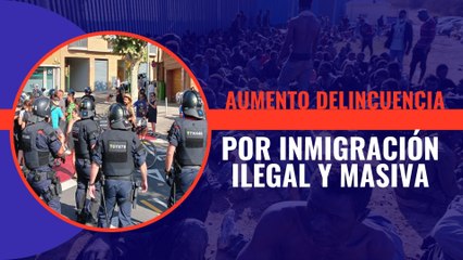 La mayoría de la delincuencia está ligada con la inmigración irregular y masiva