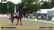 Master Pro FFE - Dressage | Vierzon (FRA) | Camille DOLLE | DARTAGNAN DE HUS